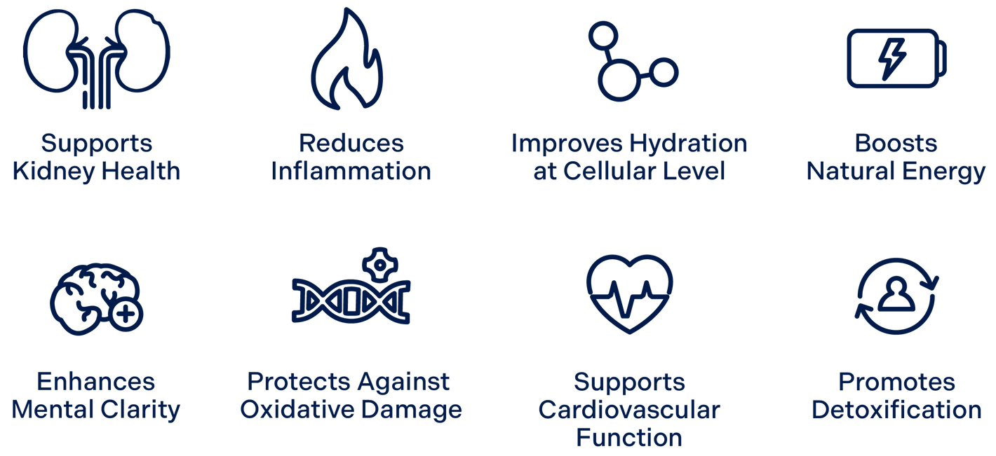 hydrowata-benefis-kidney